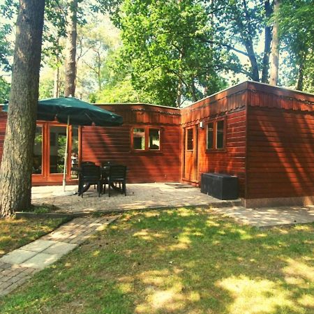 Chalet L2 Dennenrhode Doornspijk מראה חיצוני תמונה