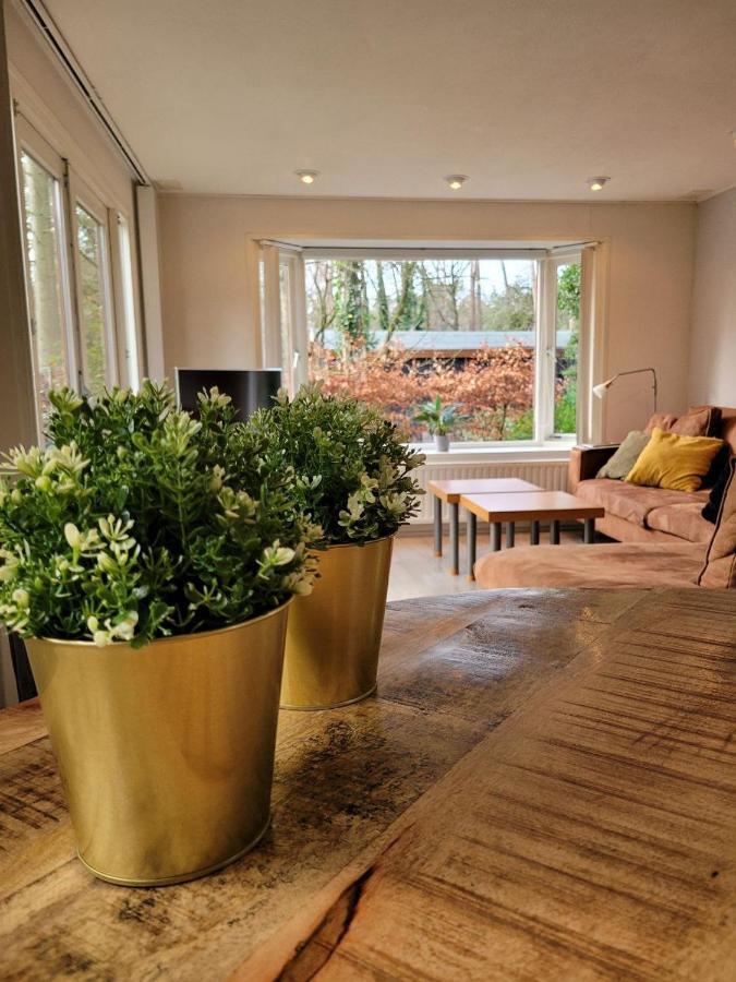 Chalet L2 Dennenrhode Doornspijk מראה חיצוני תמונה